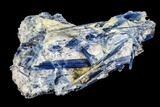 Vibrant Blue Kyanite Crystal Cluster In Quartz - Brazil #113493-2